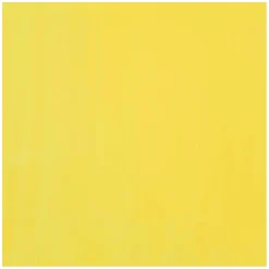 Ecola Plakkaatverf Fles 16ml Citroengeel (Primair) 205>Bruynzeel Clearance