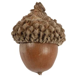 Eikels, 12st.><noscript><img width=