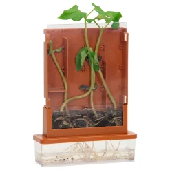 Experimenten - Planten Doolhof, 21dlg.- New