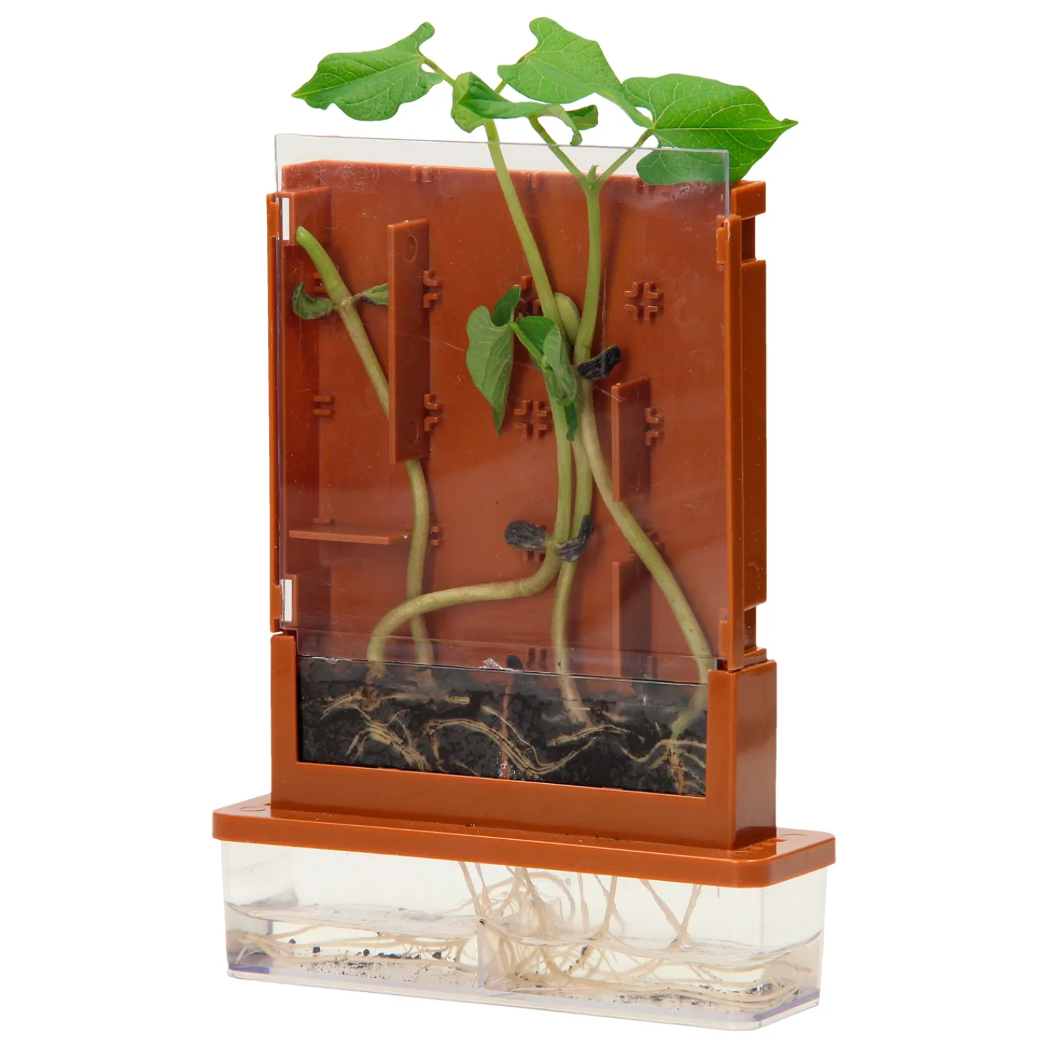 Experimenten - Planten Doolhof, 21dlg.- New