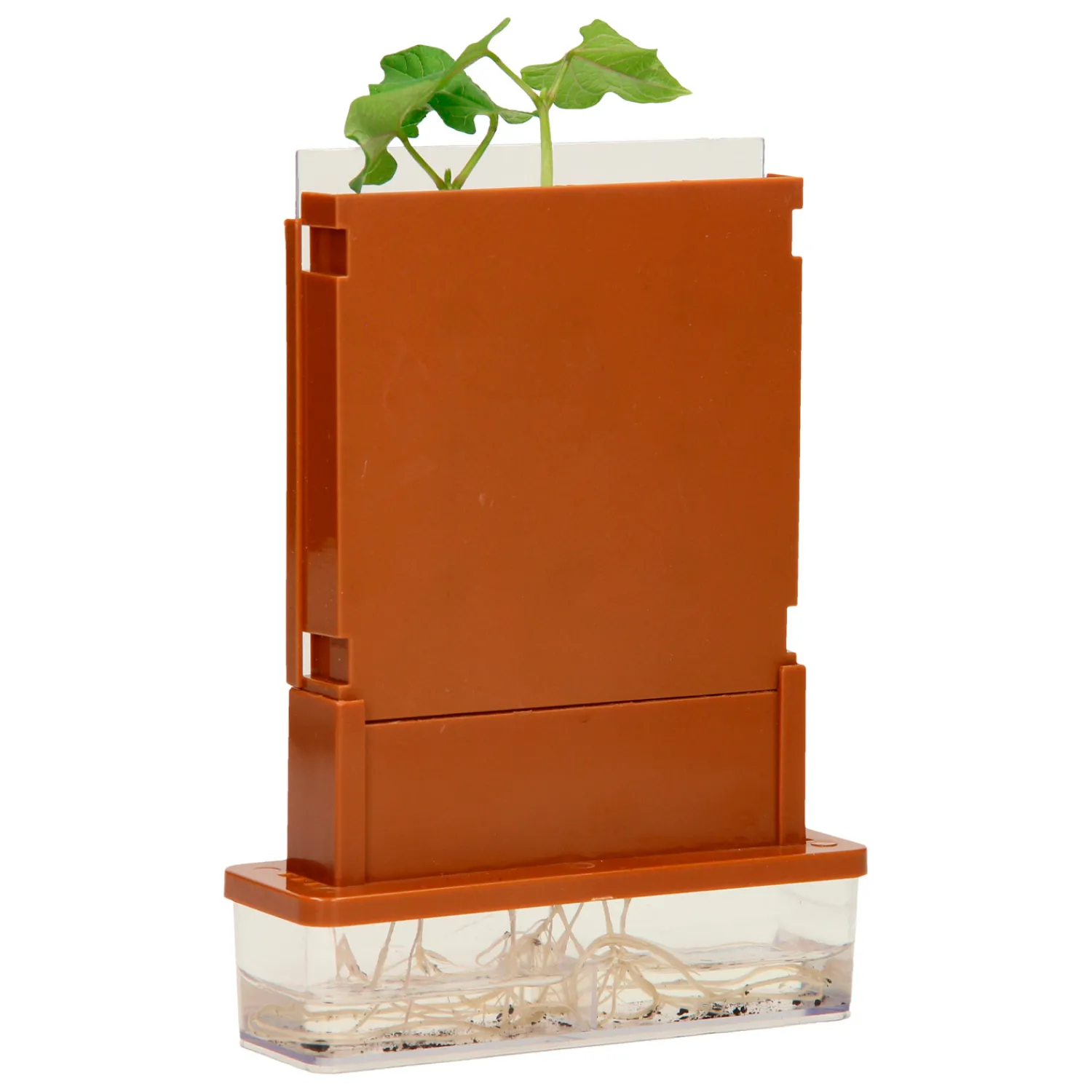 Experimenten - Planten Doolhof, 21dlg.- New