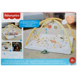 Simply Senses Babygym-Fisher Price Hot