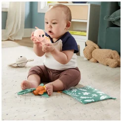 Fisher Price Zoveel Zintuigen Cadeauset Sale