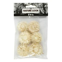 Gedroogde Bloemen-Creativ Company Online