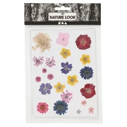 Gedroogde Bloemen en Bladeren Diverse Kleuren>Creativ Company Best