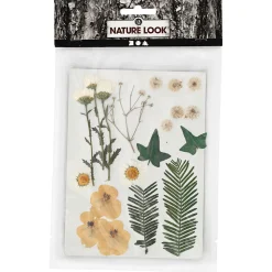Gedroogde Bloemen en Bladeren Off-white, 19dlg.-Creativ Company Hot