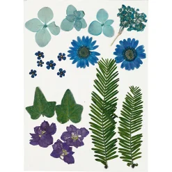 Gedroogde Bloemen en Bladeren Blauw, 19dlg.>Creativ Company Clearance