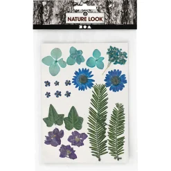 Gedroogde Bloemen en Bladeren Blauw, 19dlg.>Creativ Company Clearance