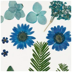 Gedroogde Bloemen en Bladeren Blauw, 19dlg.><noscript><img width=
