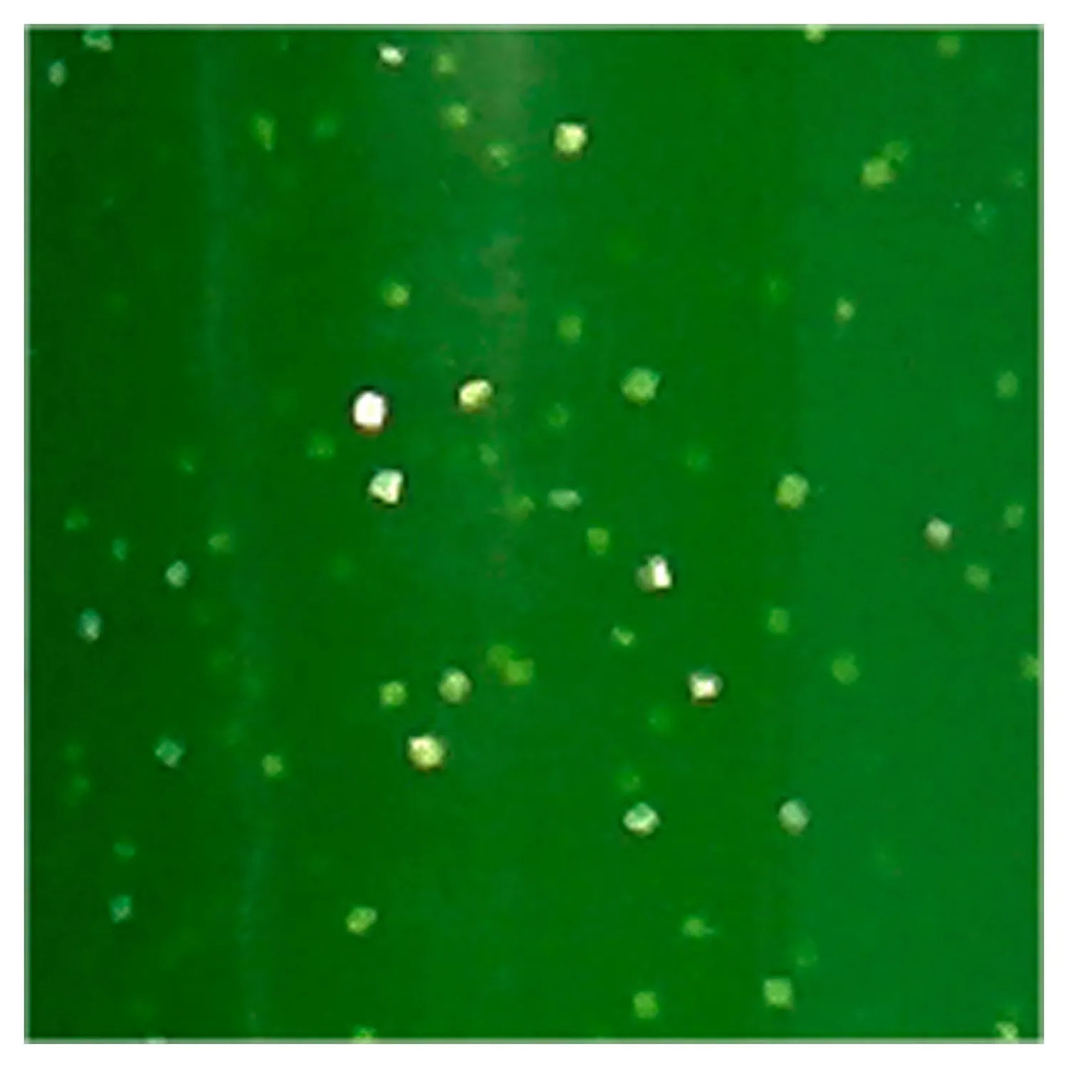 Creativ Company Glas- en Porseleinstift Glitter Semi-Dekkend - Lichtgroen Outlet