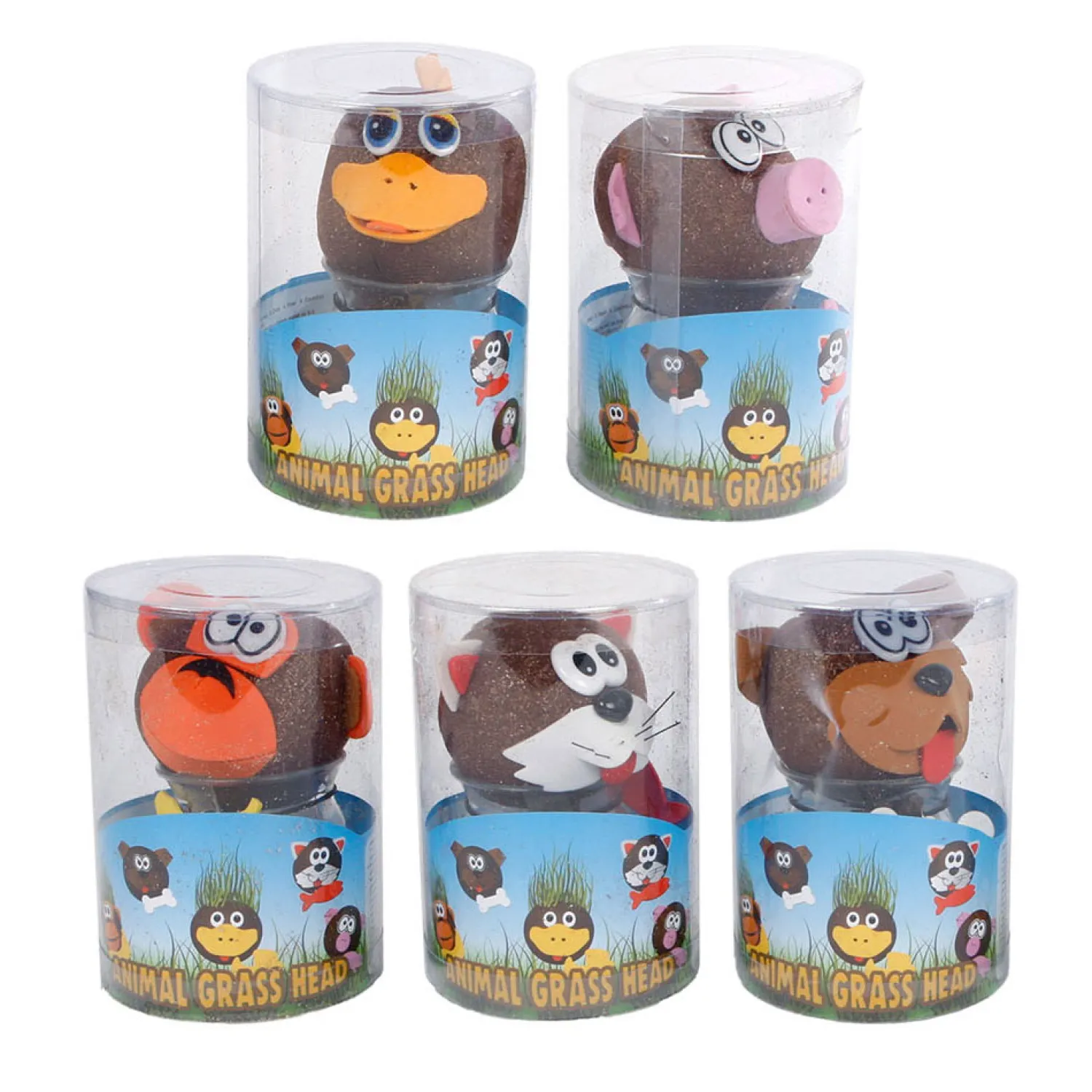 Grasvriendjes Dieren Verzorgen- Online