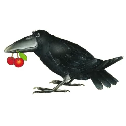 Haba Mijn Eerste Spellen - Eerste Boomgaard Hot