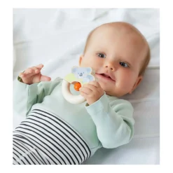 Rammelaar Koala-Haba Online