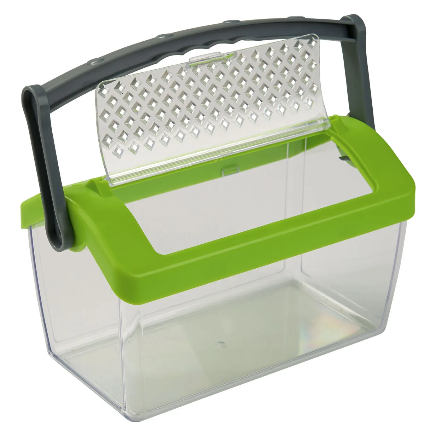 Terra Kids - Insectendoos>Haba Sale