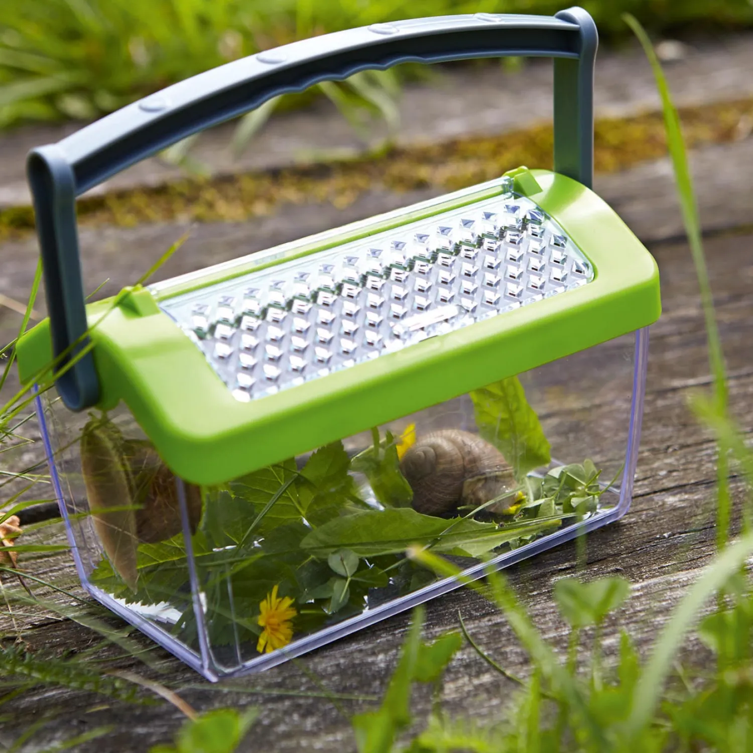 Terra Kids - Insectendoos>Haba Sale