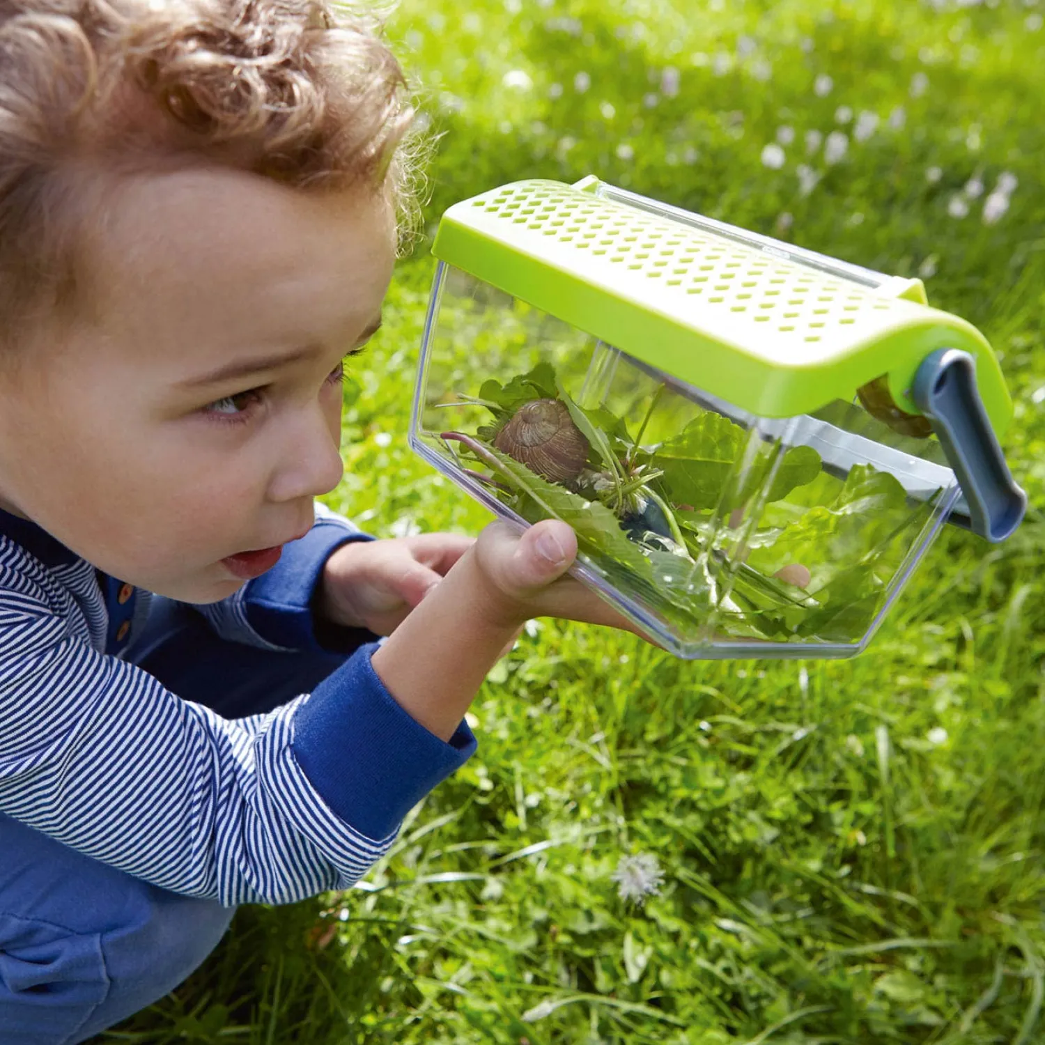 Terra Kids - Insectendoos>Haba Sale