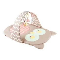 Hape Babygym Uil Oscar