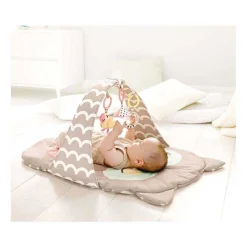 Hape Babygym Uil Oscar