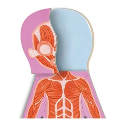 Menselijk Lichaam Magnetische Puzzel - 63dlg.><noscript><img width=