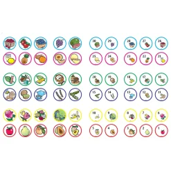 Herken de Geur 30 Geuren en Kaarten- Outlet