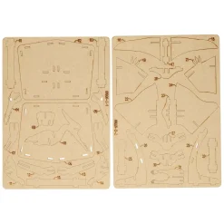 Houten Bouwpakket Dino 3D Pterosauriër- Best