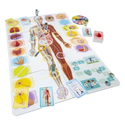 Selecta Ik Leer - Het Menselijk Lichaam