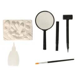 Insecten Archeologie> Online