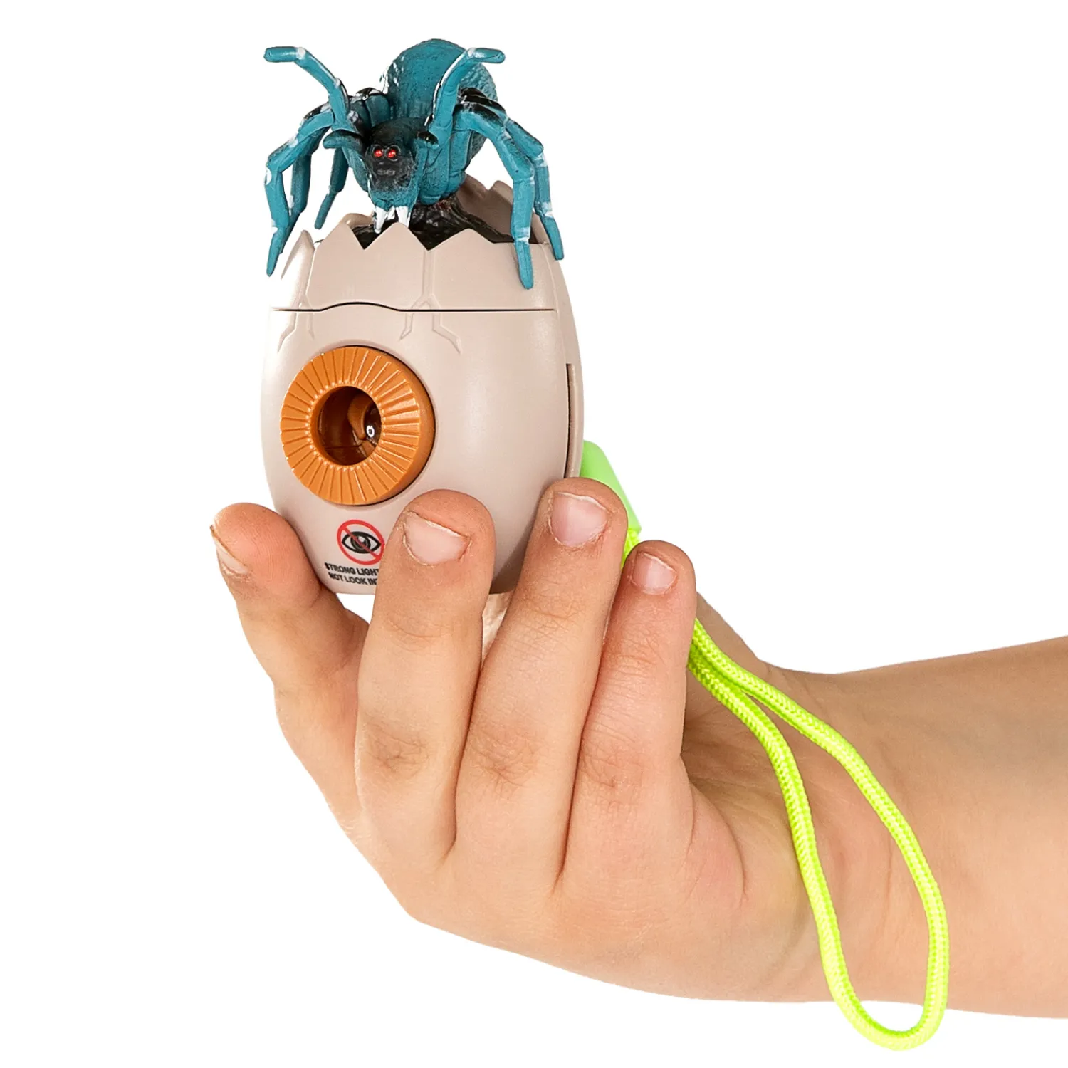 Insecten Projector- Sale