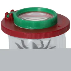 Insectenpotje met Vergrootglas><noscript><img width=