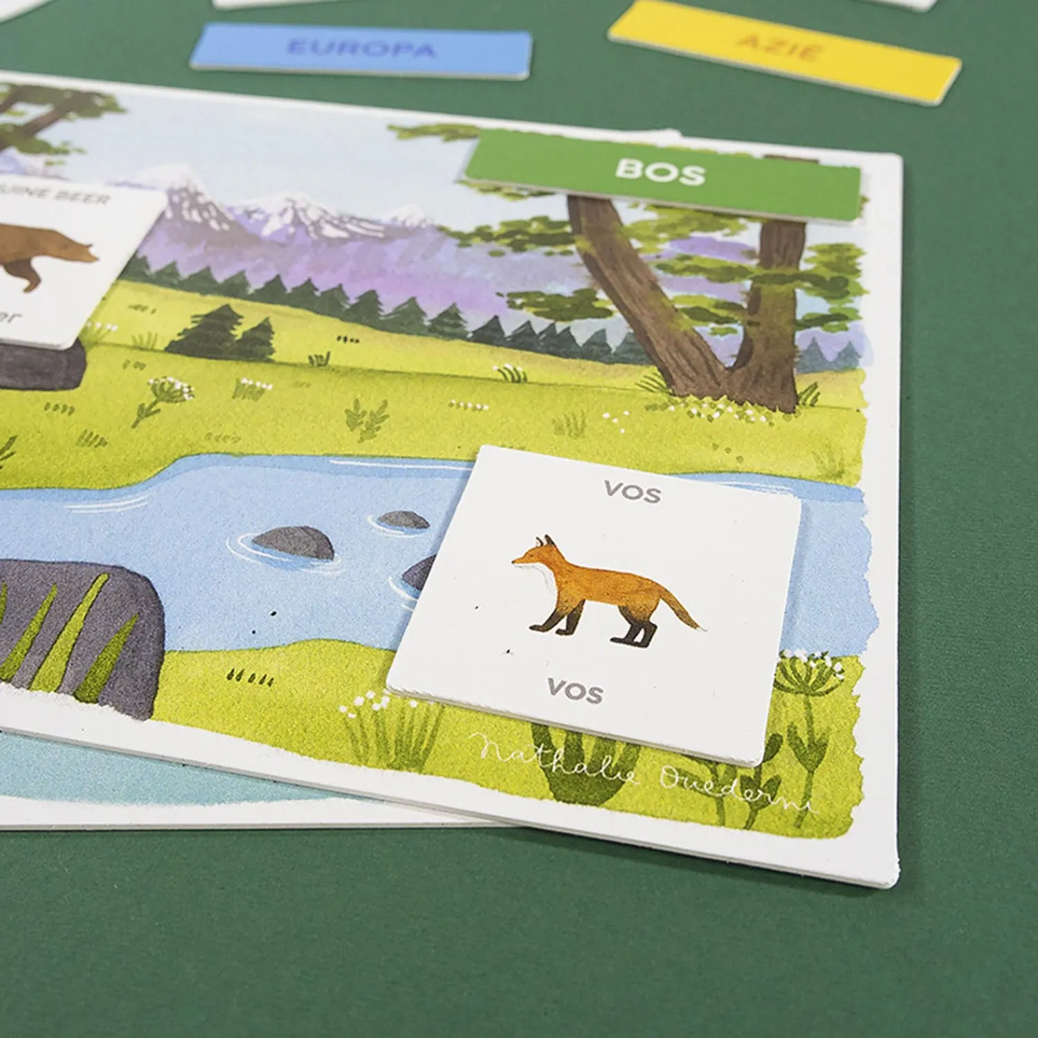 Ik Leer Ontdekken Dieren Educatief Spel>Jumbo Online