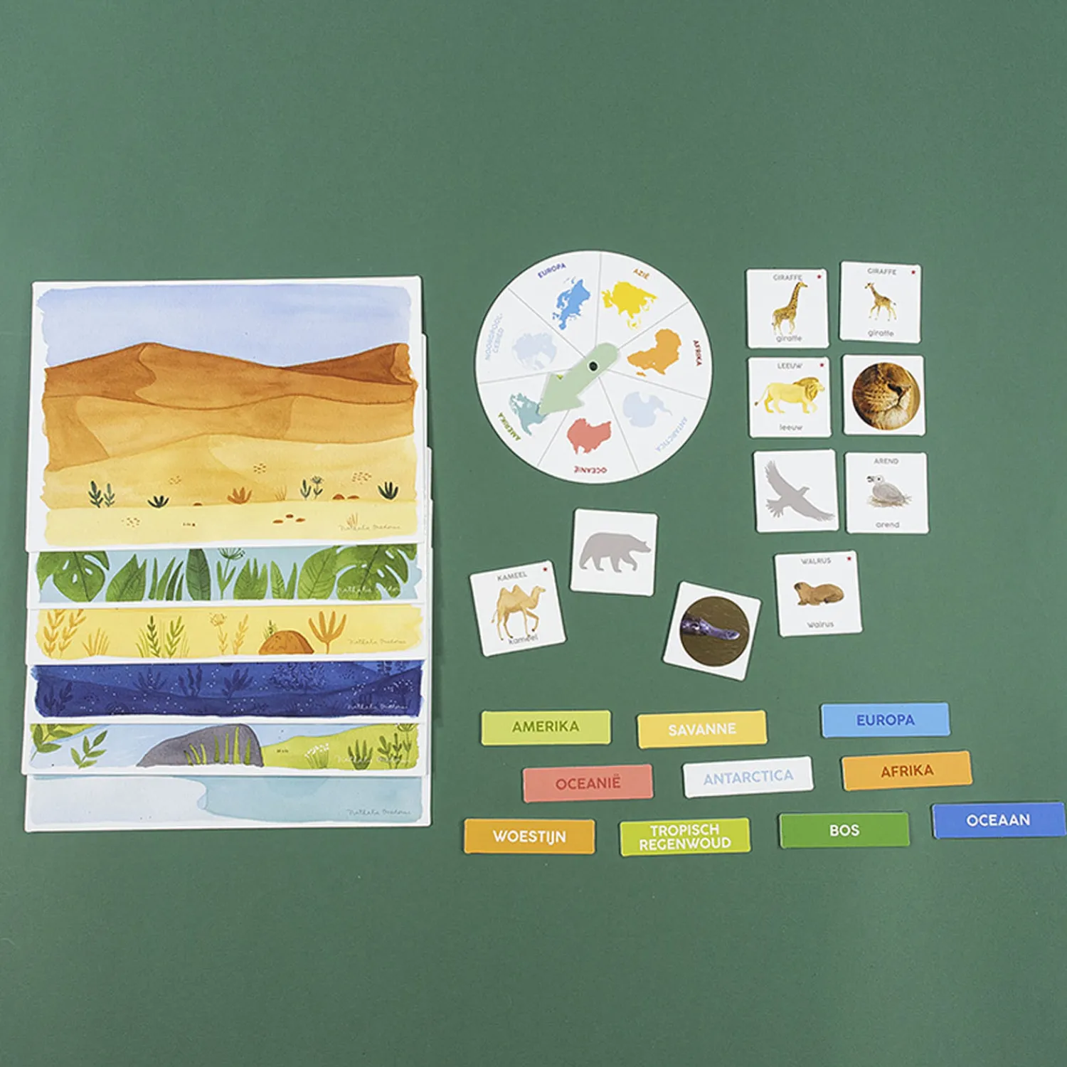 Ik Leer Ontdekken Dieren Educatief Spel>Jumbo Online