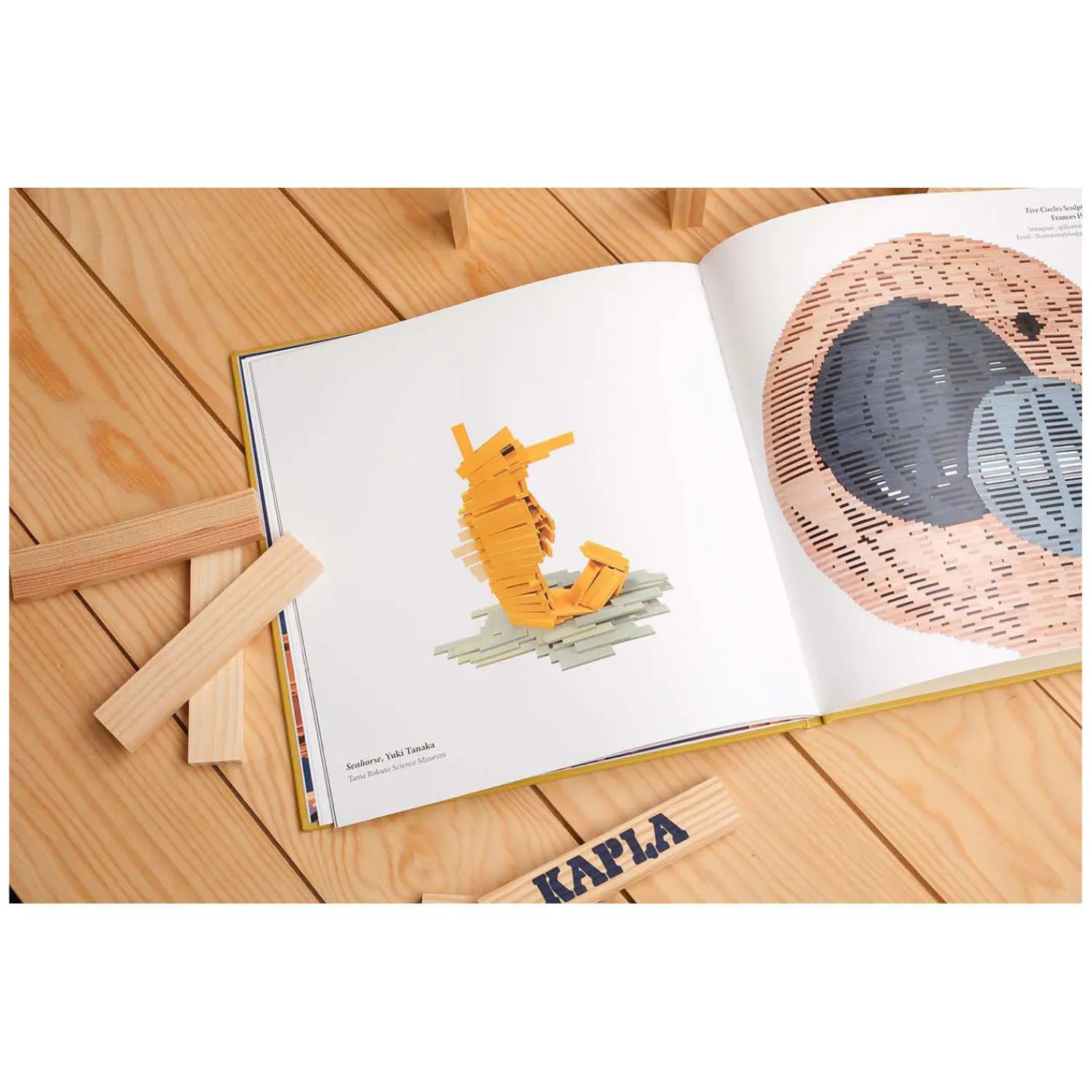 Boek 5 - Best of>KAPLA Sale