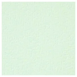 Karton Lichtgroen A4 220g, 10st.-Creativ Company Hot