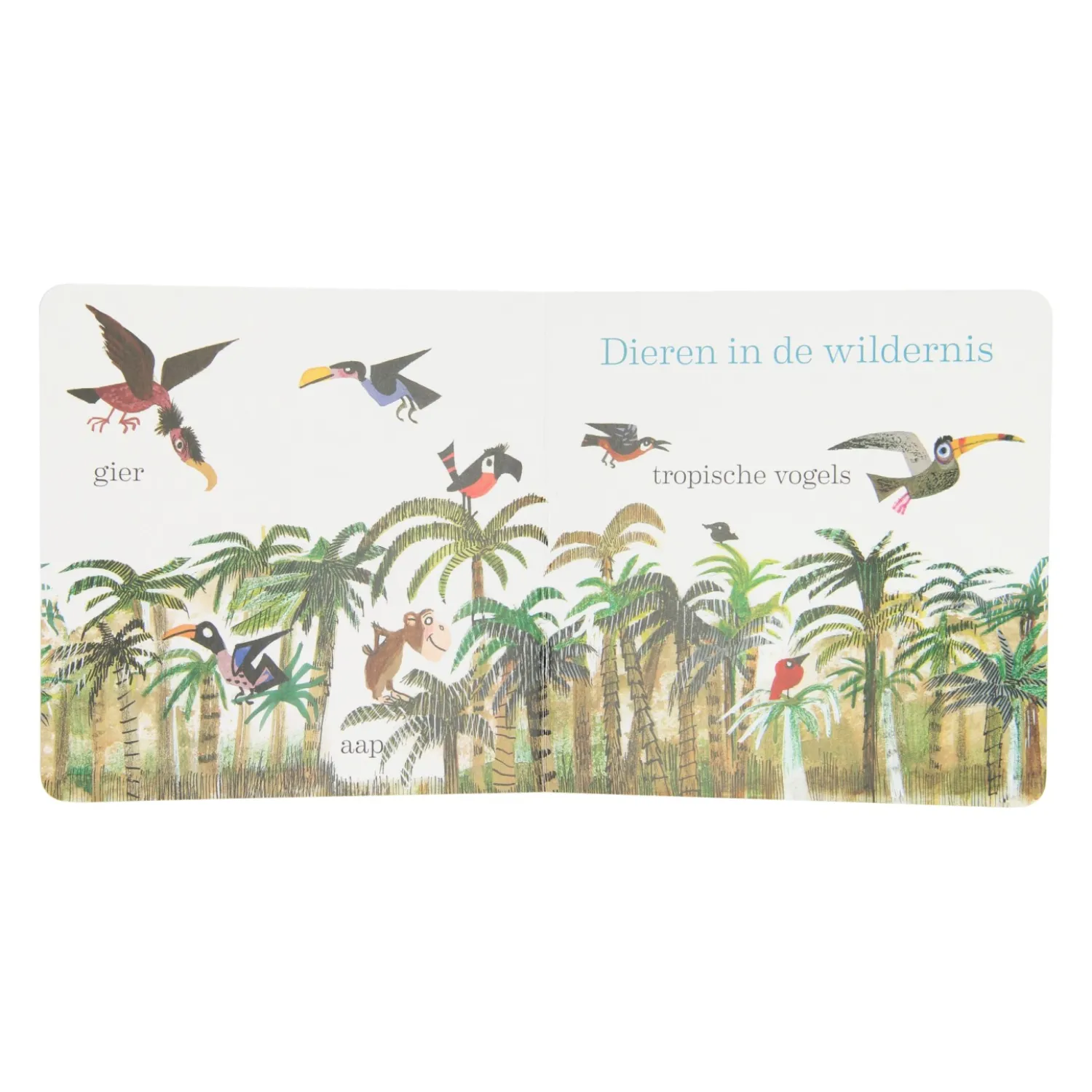 Kartonboek Dieren van Fiep Westendorp>Lobbes Clearance