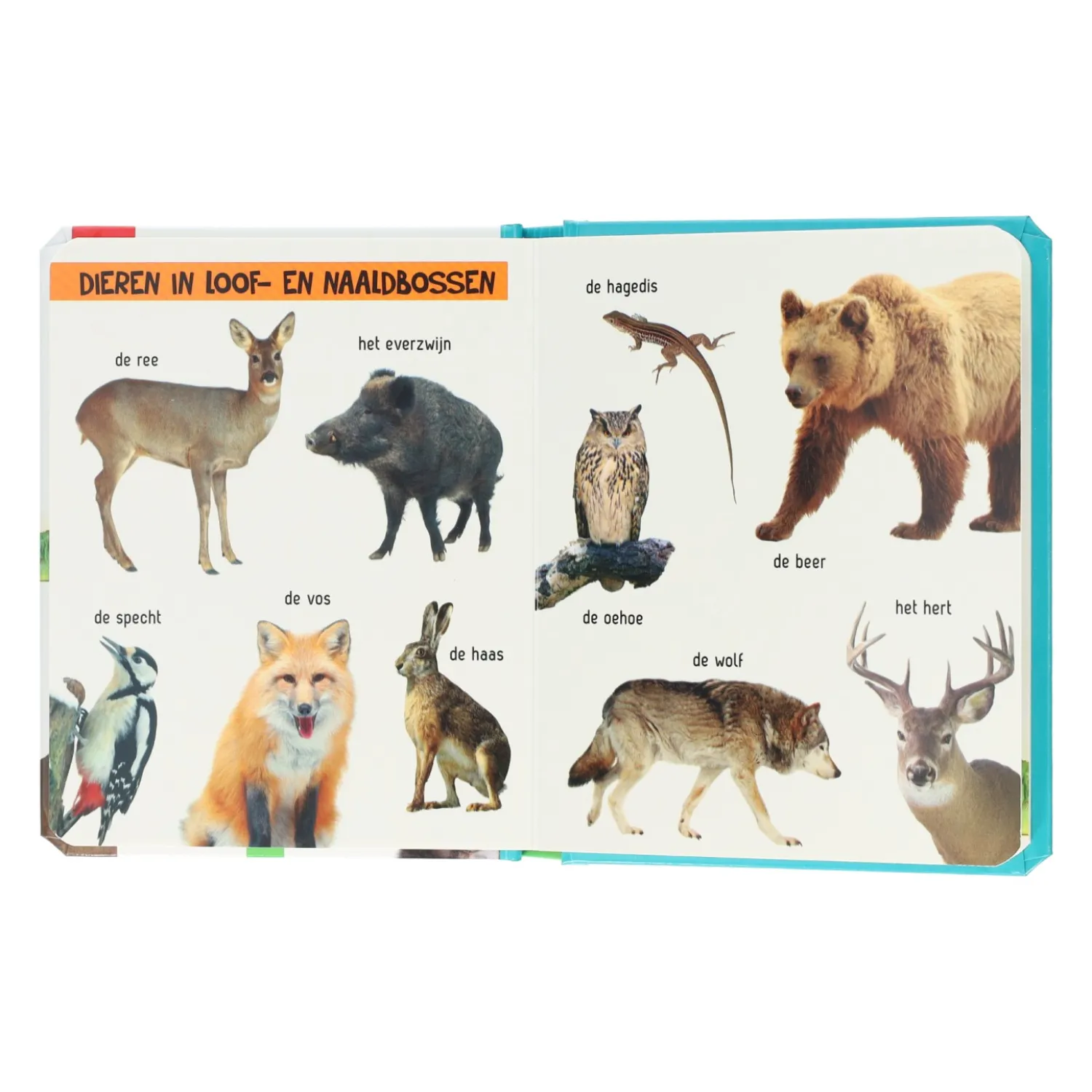 Kijk Eens Wat Zie Je Daar? Dieren-Wins Holland Hot