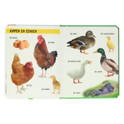 Wins Holland Kijk Eens Wat Zie Je Daar? De boerderij Online