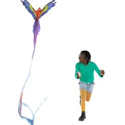 - Pop-up 3D Vlieger Papegaai-Kites Ready 2 Fly Outlet