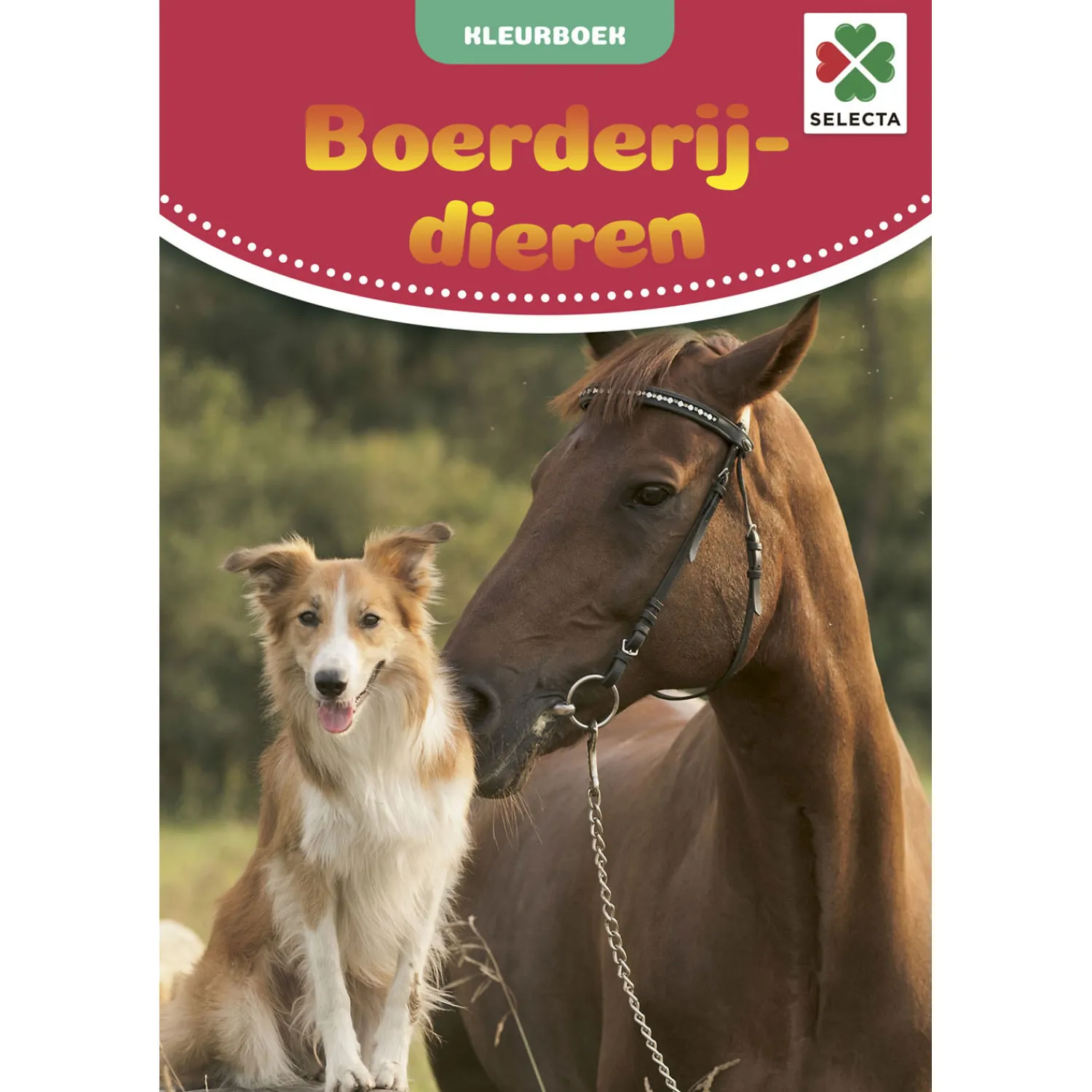 Kleurboek Boerderijdieren>Selecta Outlet