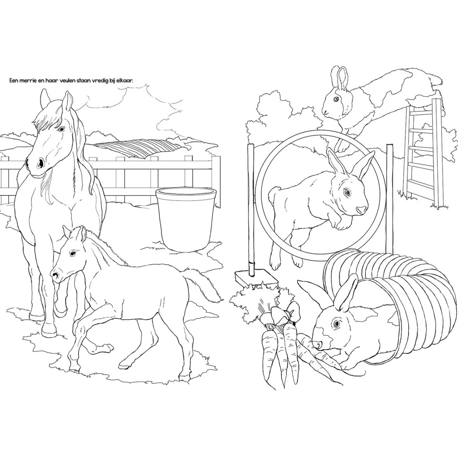 Kleurboek Boerderijdieren>Selecta Outlet