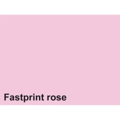 Quantore Kopieerpapier Fastprint A4 160gr roze 50vel Online