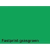 Kopieerpapier Fastprint A4 160gr grasgroen 50vel-Quantore Hot