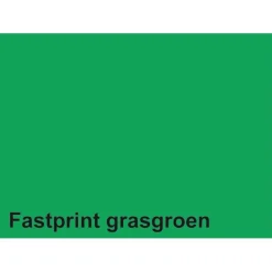 Kopieerpapier Fastprint A4 160gr grasgroen 50vel-Quantore Hot