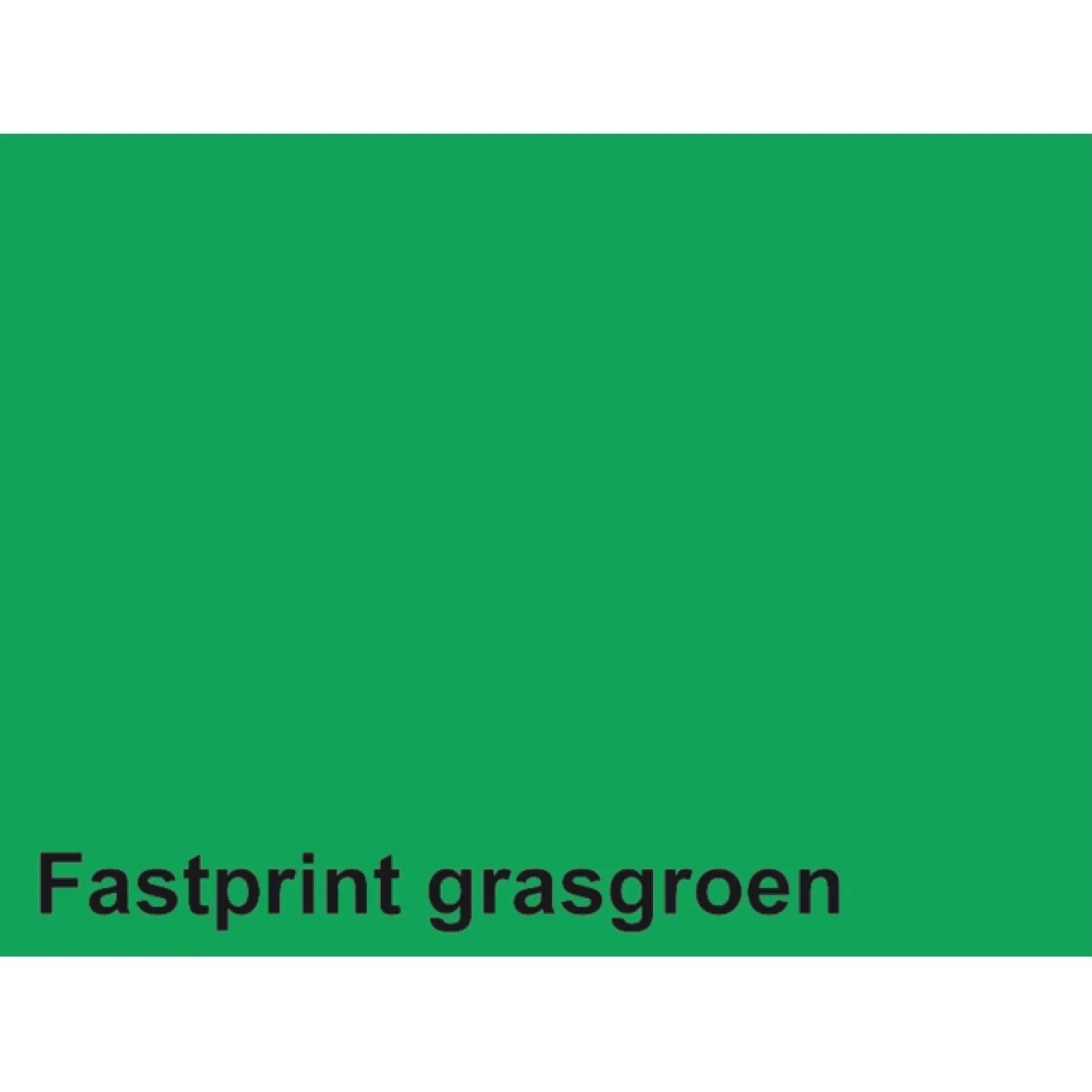 Kopieerpapier Fastprint A4 160gr grasgroen 50vel-Quantore Hot