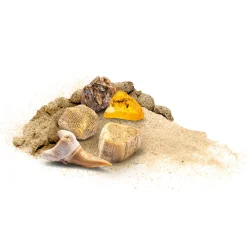 Fossielen Uithakken><noscript><img width=