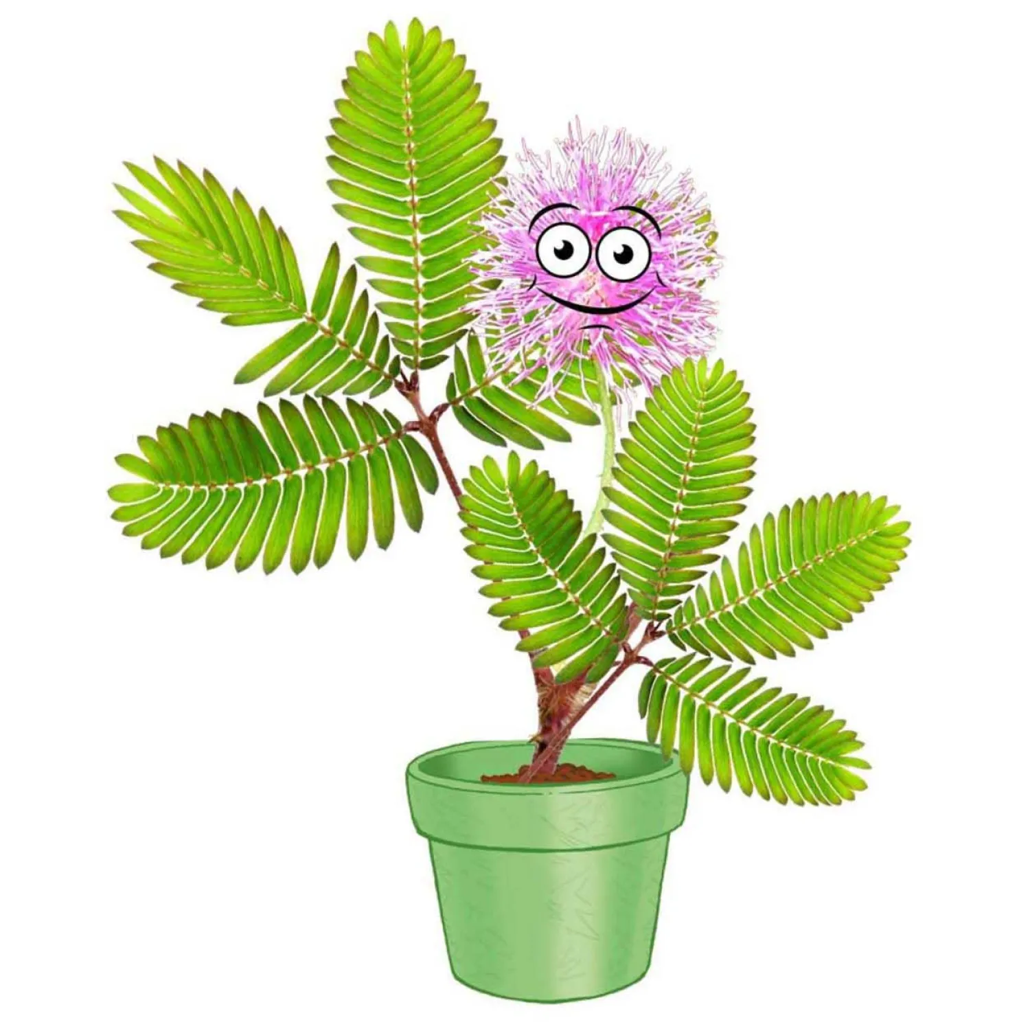 Kosmos Mimosa Garden Speelset>Selecta Online