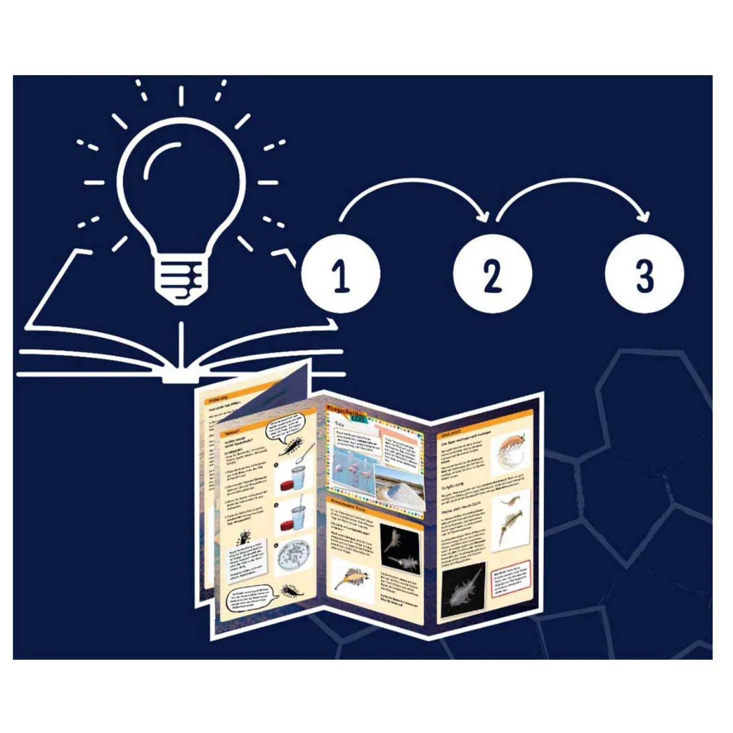 Kosmos Saltwater Creatures Speelset-Selecta Online