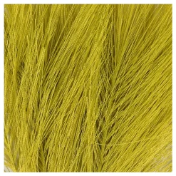 Kunstveren Groen, 10st.><noscript><img width=