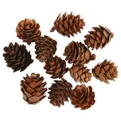 Larikskegels, 12st.>Creativ Company