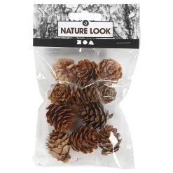 Larikskegels, 12st.>Creativ Company