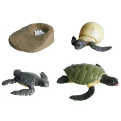 Levenscyclus Schildpad Speelfiguren Set> Best